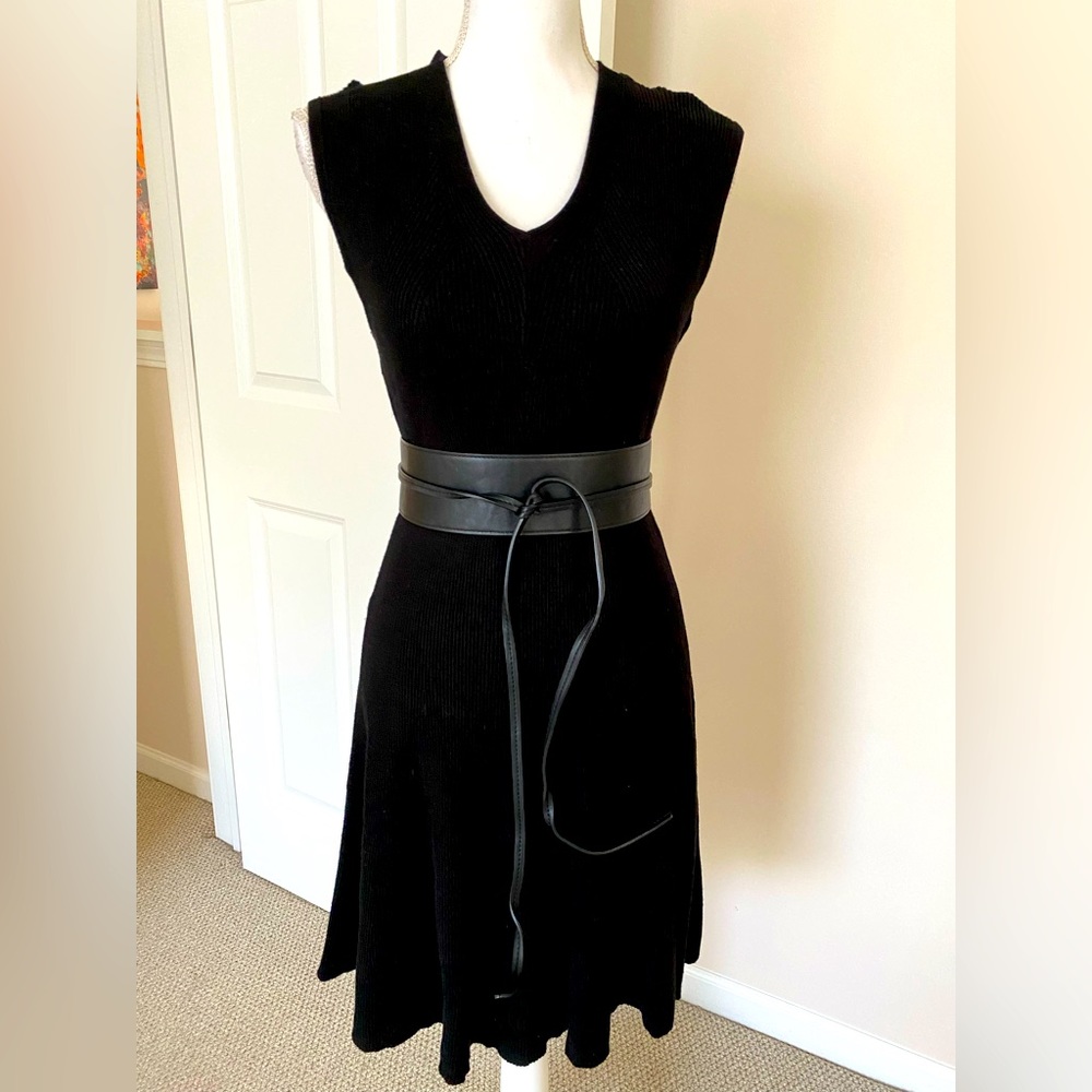 😱The Limited - sweater dress (medium)
